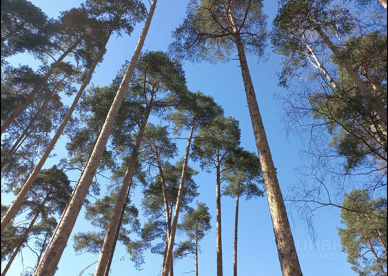 Объект по адресу Санкт-Петербург, Гладышевский пр-кт, 38к3 