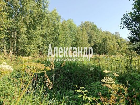 Объект по адресу Ленинградская обл, Выборгский р-н, Кеппа ул