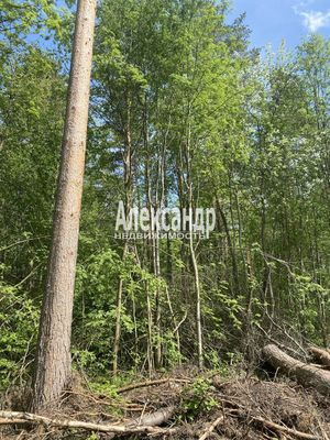 Объект по адресу Москва, Ларионово п 