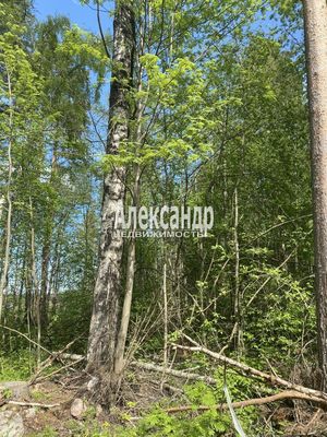 Объект по адресу Москва, Ларионово п 