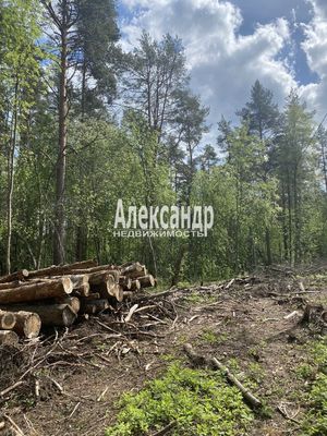 Объект по адресу Москва, Ларионово п 