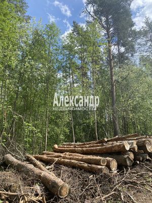 Объект по адресу Москва, Ларионово п 