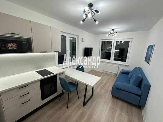 Объект по адресу Санкт-Петербург, Пахомовская ул, 18к2 