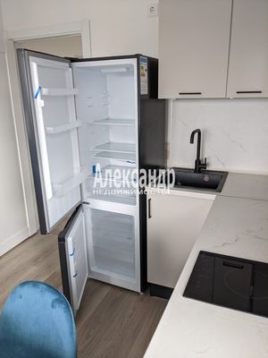 Объект по адресу Санкт-Петербург, Пахомовская ул, 18к2 