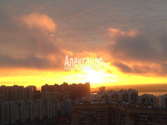 Объект по адресу Санкт-Петербург г, Туристская ул, д. 23к2