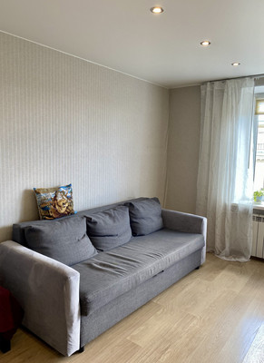 Объект по адресу Санкт-Петербург г, Карташихина ул, д. 19