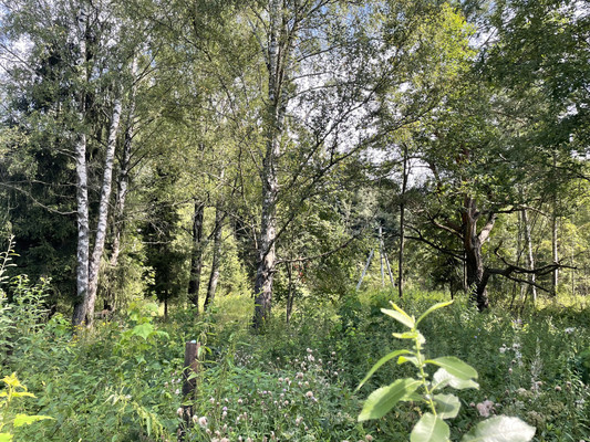 Объект по адресу Москва, Долгиниха д 