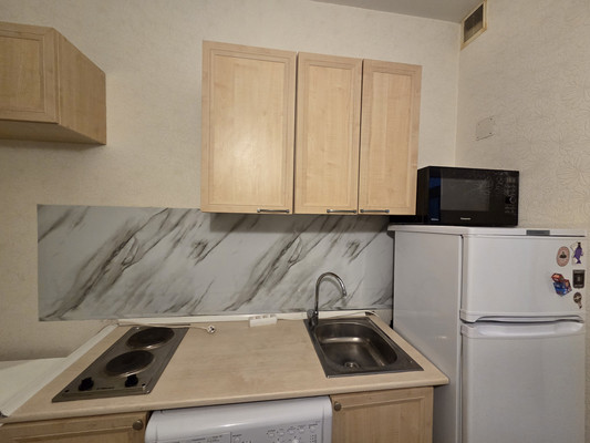 Объект по адресу Санкт-Петербург, Лермонтовский пр-кт, 12А 