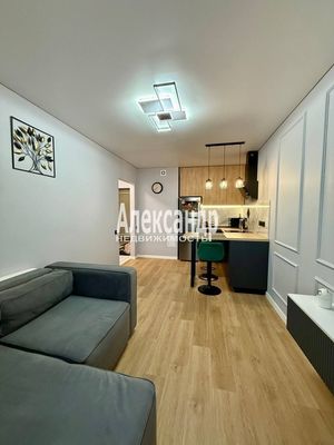 Объект по адресу Ленинградская обл, Всеволожский р-н, Екатерининская ул, д. 17