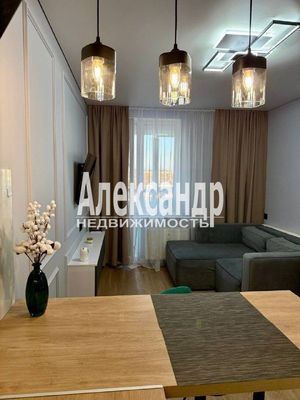 Объект по адресу Ленинградская обл, Всеволожский р-н, Екатерининская ул, д. 17