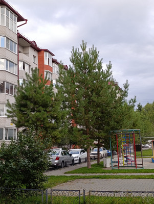 Объект по адресу Москва, Гущина ул, 153кв 