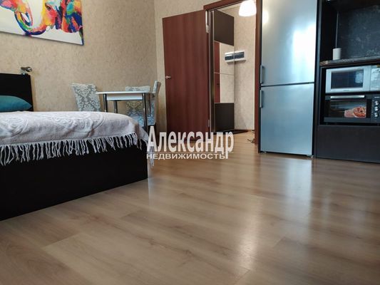 Объект по адресу Ленинградская обл, Всеволожский р-н, Авиаторов Балтики пр-кт, д. 17