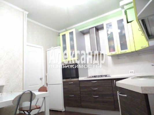 Объект по адресу Санкт-Петербург, Днепропетровская ул, 59 