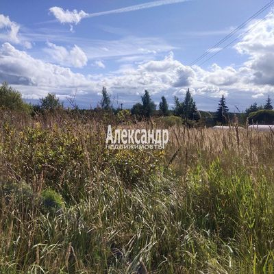 Объект по адресу Москва, Петровское д 