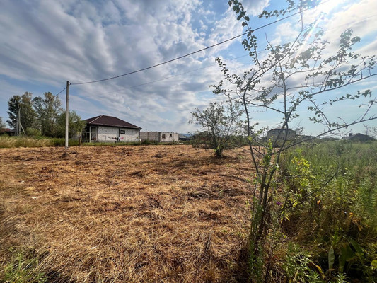 Объект по адресу Краснодарский край, Апшеронский р-н, Кленовая ул