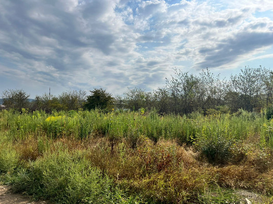 Объект по адресу Краснодарский край, Апшеронский р-н, Кленовая ул