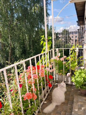 Объект по адресу Москва, Ленинградская ул, 71А 