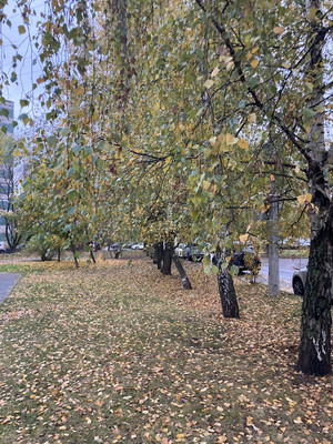 Объект по адресу Московская обл, Мытищи г.о., Троицкое с, Мытищинская ул, д. 37к1