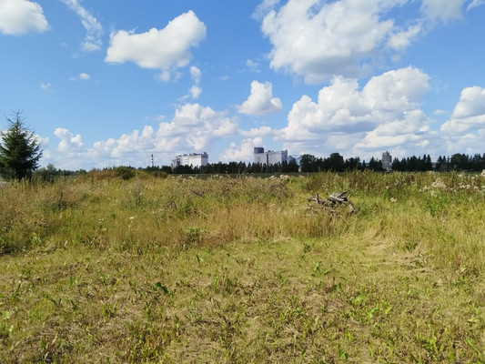 Объект по адресу Ленинградская обл, Гатчинский р-н, Малые Колпаны д, Центральная ул, д. 87