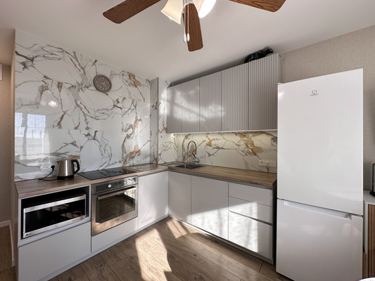 Объект по адресу Санкт-Петербург г, Пискарёвский пр-кт, д. 165к1