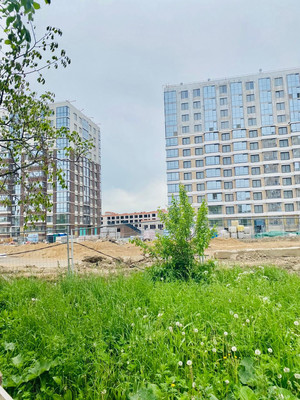 Объект по адресу Санкт-Петербург, 1-й Предпортовый проезд, 1 