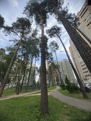 Объект по адресу Москва, М.К.Тихонравова (Юбилейный мкр) ул, 35к7 