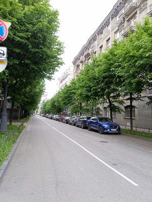 Объект по адресу Санкт-Петербург, Каменноостровский пр-кт, 67 