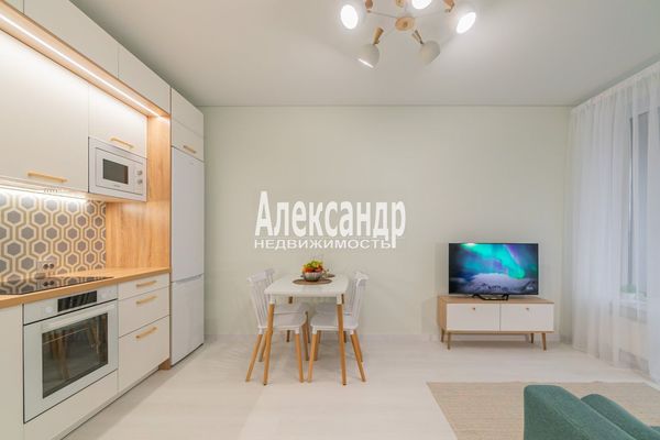 Объект по адресу Санкт-Петербург, Светлановский пр-кт, 14к1 