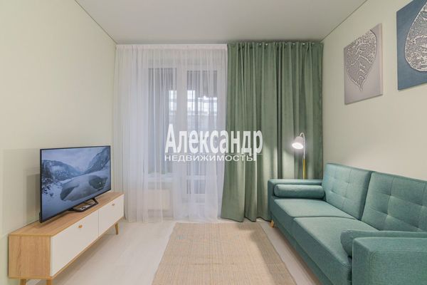 Объект по адресу Санкт-Петербург, Светлановский пр-кт, 14к1 