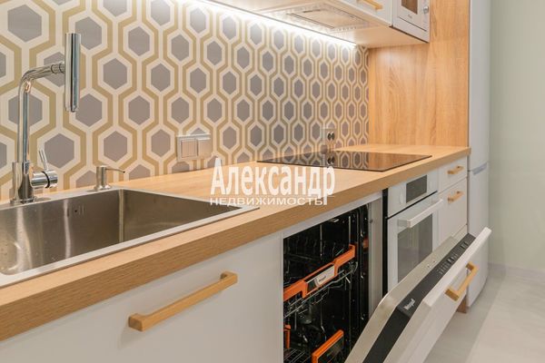 Объект по адресу Санкт-Петербург, Светлановский пр-кт, 14к1 