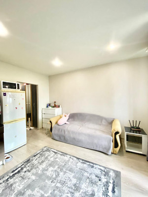 Объект по адресу Ленинградская обл, Всеволожский р-н, Строителей пр-кт, д. 16