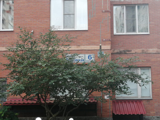 Объект по адресу Санкт-Петербург г, Пулковская ул, д. 6к3