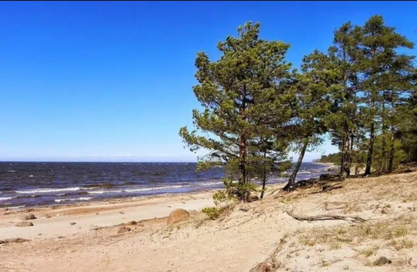 Объект по адресу Москва, Лесная ул 