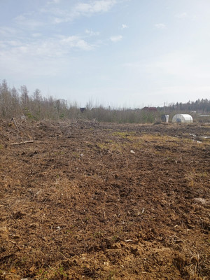 Объект по адресу Москва, Лесная ул 