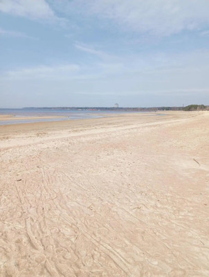 Объект по адресу Москва, Лесная ул 