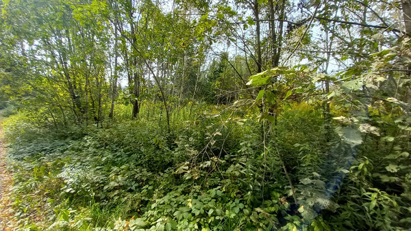 Объект по адресу Москва, Качаброво д 