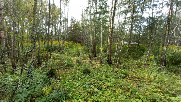 Объект по адресу Москва, Качаброво д 