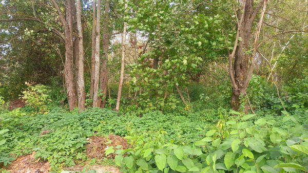 Объект по адресу Москва, Качаброво д 