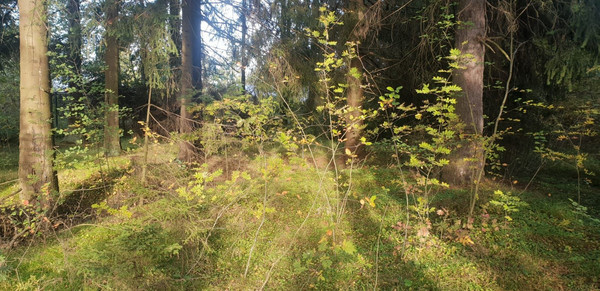 Объект по адресу Москва, Слепухина ул, 36 