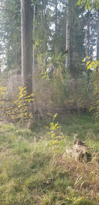 Объект по адресу Москва, Слепухина ул, 36 