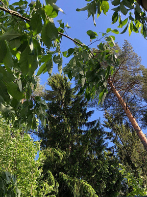 Объект по адресу Москва, Слепухина ул, 36 