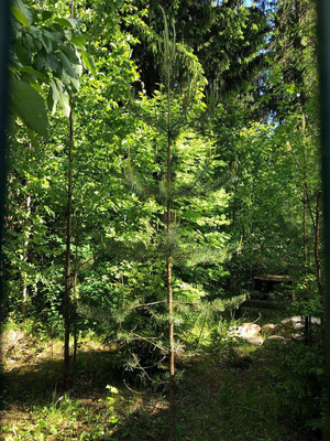 Объект по адресу Москва, Слепухина ул, 36 