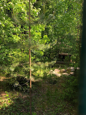 Объект по адресу Москва, Слепухина ул, 36 