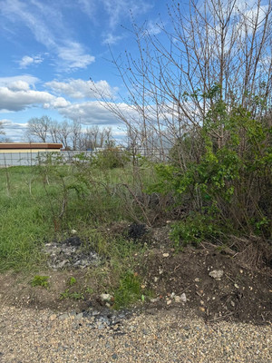 Объект по адресу Москва, Радуга снт 