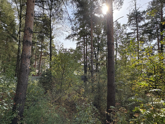 Объект по адресу Москва, Березовая ул, 48 