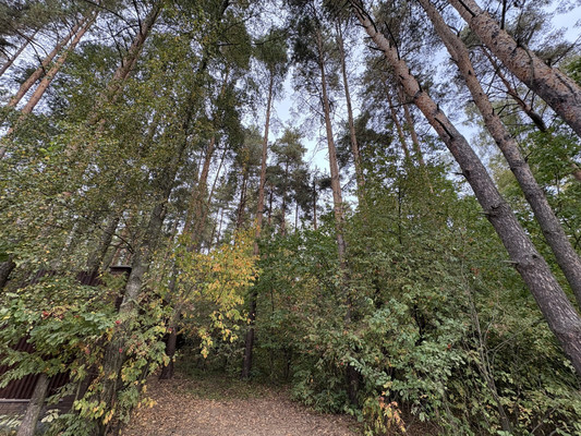 Объект по адресу Москва, Березовая ул, 48 