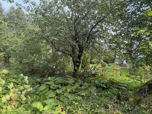 Объект по адресу Москва, СНТ Крекшино ВВЦ тер 