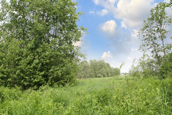 Объект по адресу Москва, Венюково д 