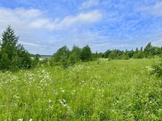 Объект по адресу Москва, Венюково д 