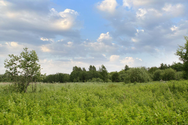Объект по адресу Москва, Венюково д 